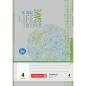 Preview: Brunnen Recycling Schulheft 16 Blatt A5 Lineatur 4