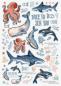 Preview: Brunnen Ausmalheft Happy Ocean