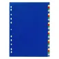 Preview: Durable Kunststoff-Register A4 PP 31-teilig 1-31 farbig