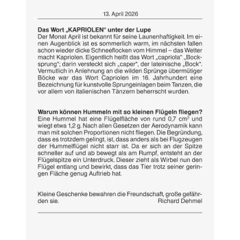 Preview: Brunnen Tagesabreißkalender Nr.13 98x142mm 2026