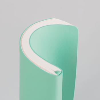 Brunnen Buchkalender A5 Kompagnon hellgrün 2S/1W 2026