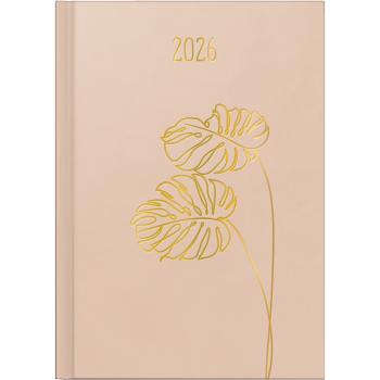 rido/idé Buchkalender Premium Young Line Monstera A5 1S/1T 2026
