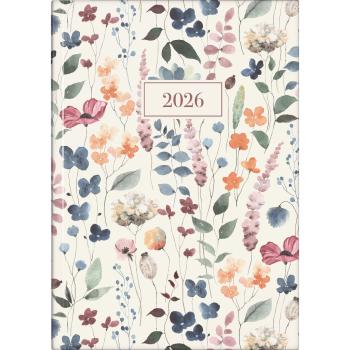 rido/idé Buchkalender Premium Young Line Watercolor A5 1S/1T 2026