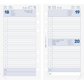 Brunnen Timer filius Einlage 17,2x9,3cm 1S/1T 2026