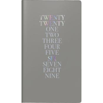 rido/idé Taschenplaner int. Trend1 Iridescent dunkelgrau A6 2S/1W 2026