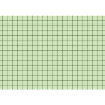 Preview: Brunnen Karteikarten A5 kariert 100 Stück grün