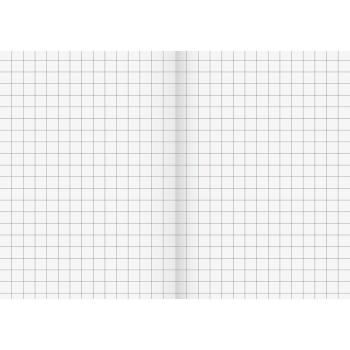 Preview: Brunnen Recycling Schulheft 16 Blatt A5 Lineatur 7