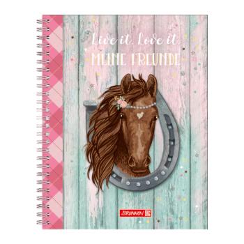 Brunnen Freundebuch Ponylove