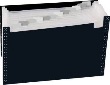 Preview: Brunnen Fächermappe A4 PP 12-teilig Xtreme