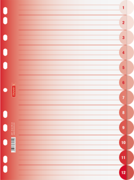 Brunnen Ringbuchregister A4 12-teilig Colour Code