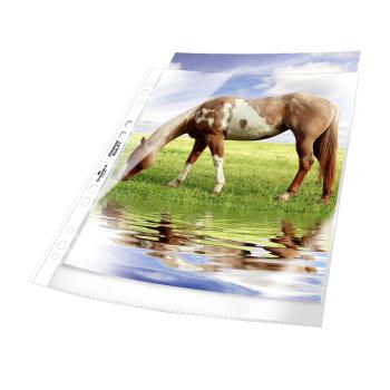 Durable 50 Stück Prospekthülle A4 PP Premium oben offen glasklar