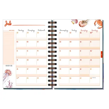 Preview: Häfft Timer Fancy A5 Bleu & Rosé 2026/27