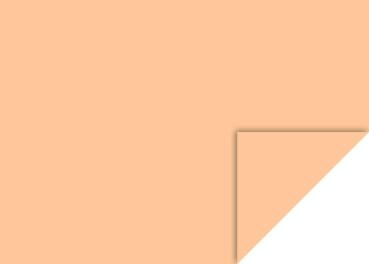 Heyda Fotokarton 50x70cm 300g/m² apricot