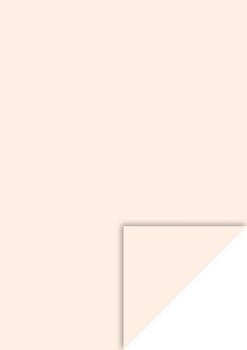 Heyda Fotokarton A4 300g/m² hautfarben