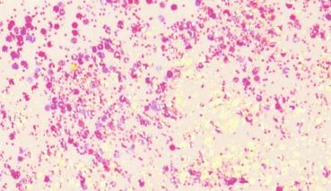 Preview: KNORRprandell Glitterfarbe Flaky Glue weiß