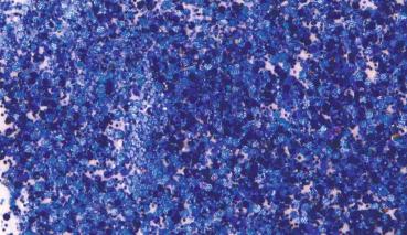 Preview: KNORRprandell Glitterfarbe Flaky Glue dunkelblau