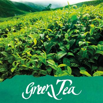 Online Tintenglas 15ml Tinte der Sinne green tea