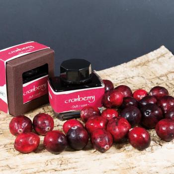 Online Tintenglas 15ml Tinte der Sinne cranberry