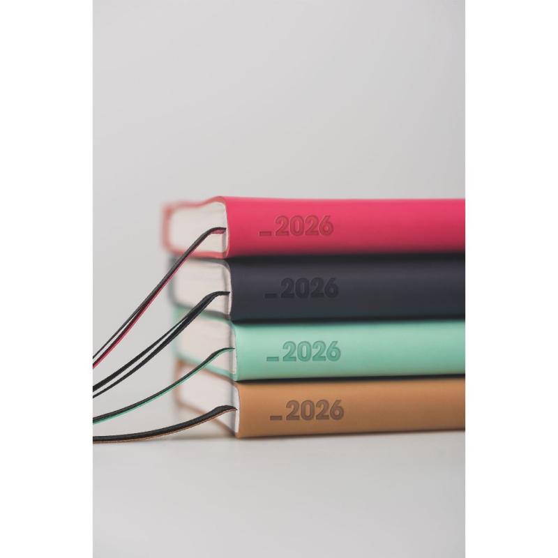 Brunnen Buchkalender A5 Kompagnon hellgrün 2S/1W 2026