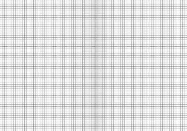 Brunnen Schulheft 32 Blatt Standard A4 Lineatur 22