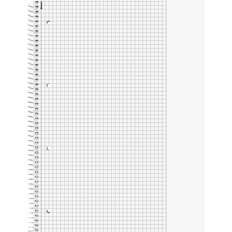 Brunnen Collegeblock A4 Student Premium 80 Blatt kariert Lineatur 26