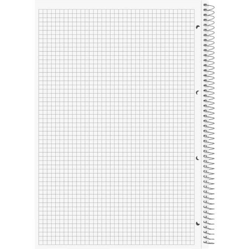 Brunnen Collegeblock A4 Metallic Premium 100 Blatt kariert Hardcover