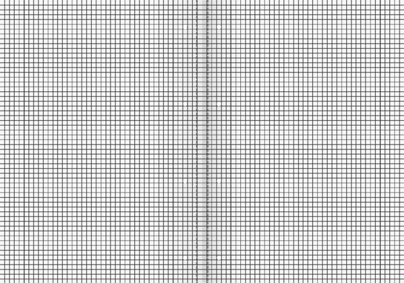 Brunnen Schulheft 16 Blatt Standard A4 Lineatur 38
