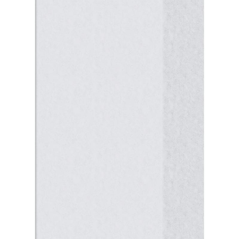 Brunnen Hefthülle A4 Folie mit Schild (innen) transparent