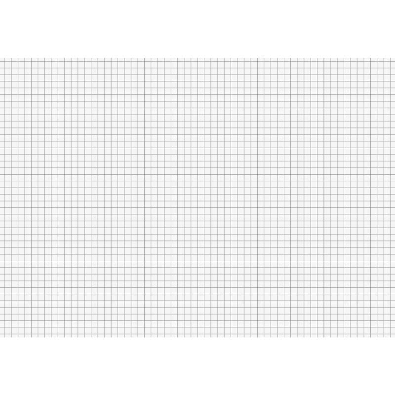 Brunnen Karteikarten A4 kariert 100 Stück weiß