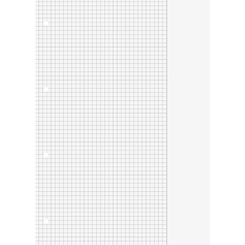 Brunnen Schulblock A4 Premium 50 Blatt kariert mit Rand Lineatur 26