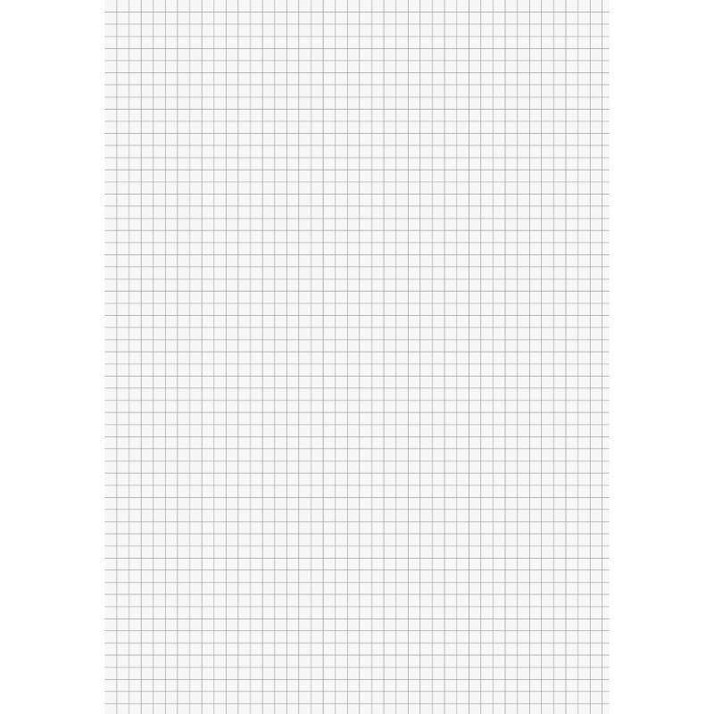 Brunnen Brunnenblock A4 Premium 50 Blatt kariert Lineatur 22