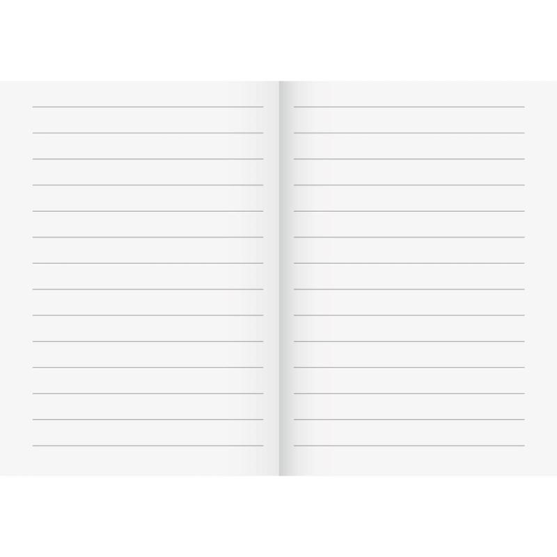 Brunnen Recycling Schulheft 16 Blatt A5 Lineatur 4