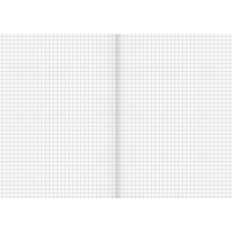 Brunnen Recycling Schulheft 16 Blatt A5 Lineatur 5