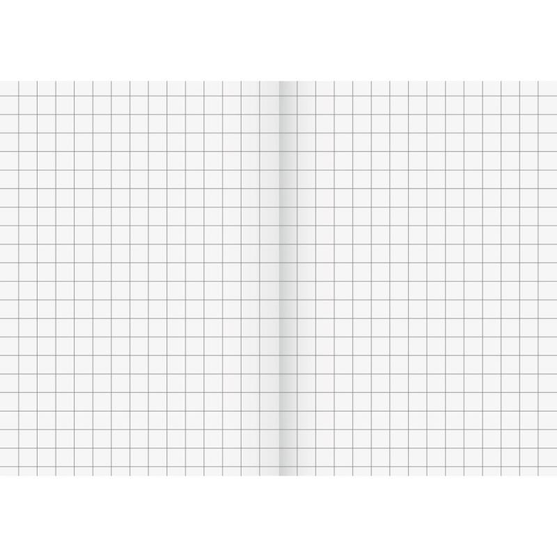 Brunnen Recycling Schulheft 16 Blatt A5 Lineatur 7