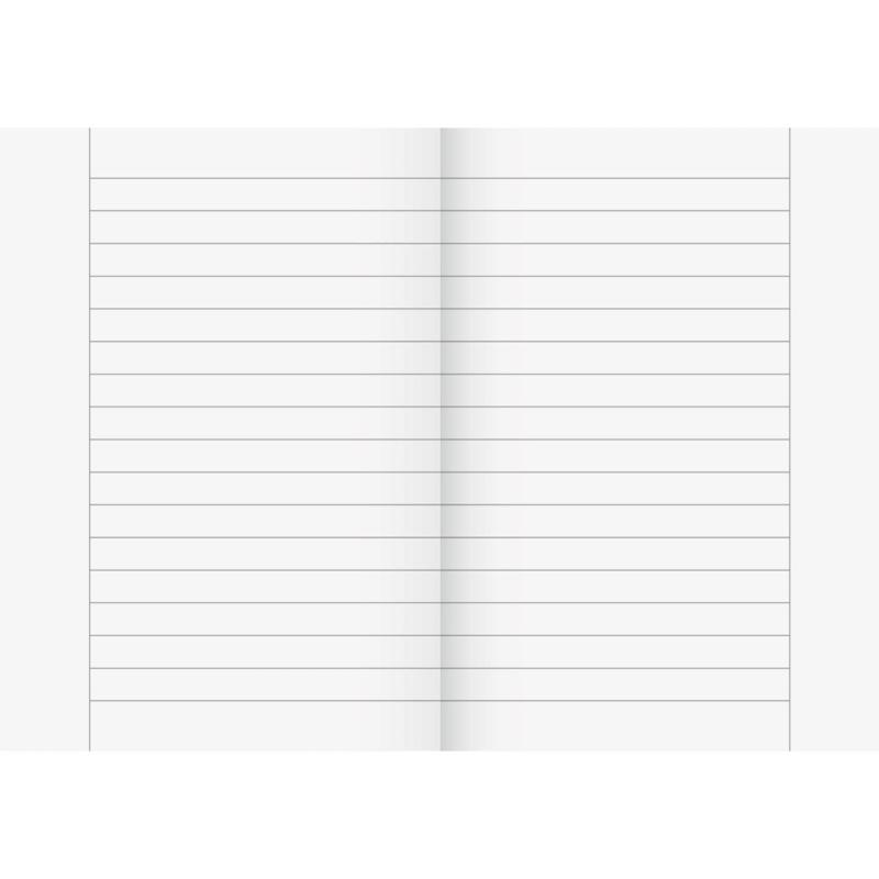 Brunnen Recycling Schulheft 16 Blatt A5 Lineatur 9