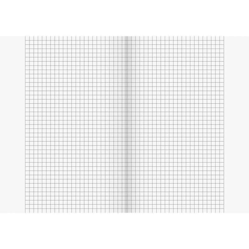 Brunnen Recycling Schulheft 16 Blatt A5 Lineatur 10