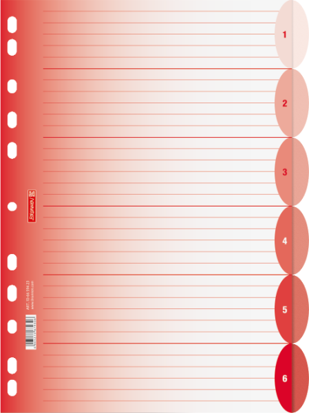 Brunnen Ringbuchregister A4 6-teilig Colour Code