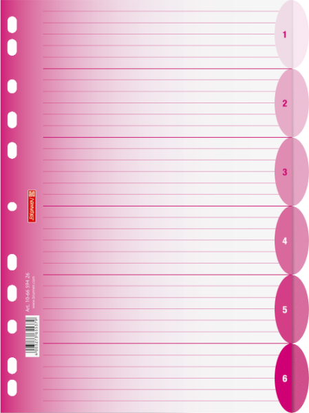 Brunnen Ringbuchregister A4 6-teilig Colour Code