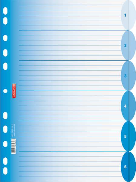 Brunnen Ringbuchregister A4 6-teilig Colour Code