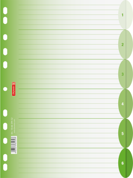 Brunnen Ringbuchregister A4 6-teilig Colour Code
