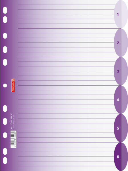 Brunnen Ringbuchregister A4 6-teilig Colour Code
