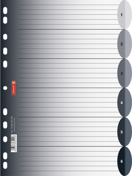 Brunnen Ringbuchregister A4 6-teilig Colour Code