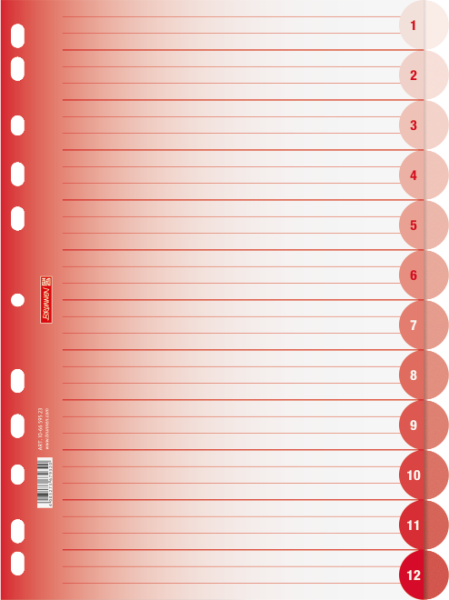 Brunnen Ringbuchregister A4 12-teilig Colour Code