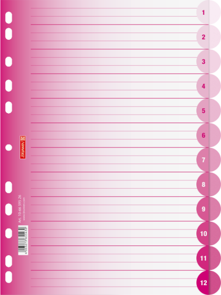 Brunnen Ringbuchregister A4 12-teilig Colour Code