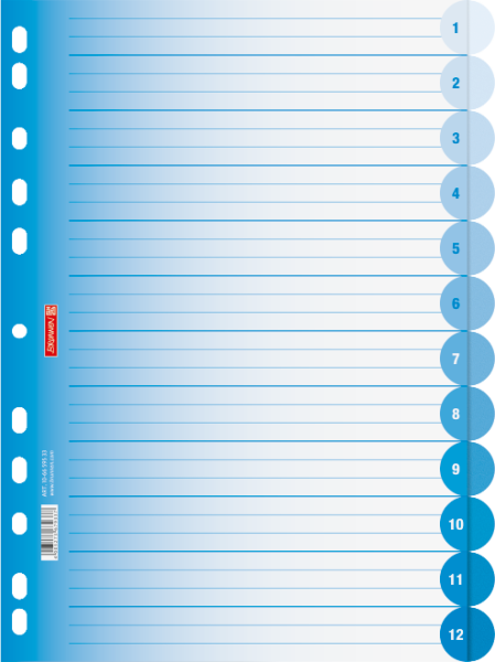 Brunnen Ringbuchregister A4 12-teilig Colour Code