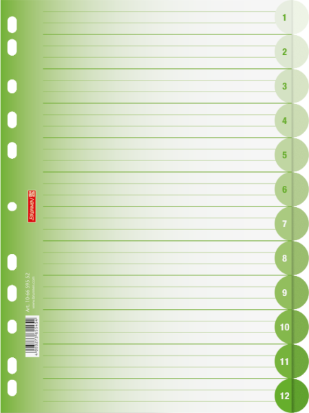 Brunnen Ringbuchregister A4 12-teilig Colour Code