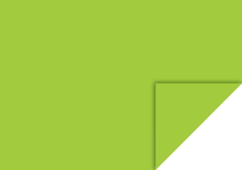 Heyda Fotokarton 70x100cm 300g/m² maigrün