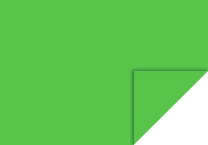 Heyda Fotokarton 70x100cm 300g/m² mittelgrün