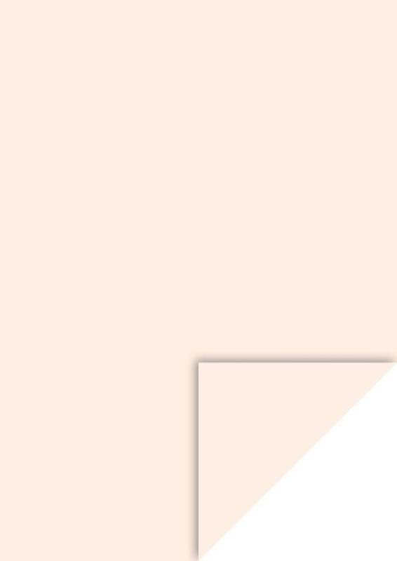 Heyda Fotokarton A4 300g/m² hautfarben