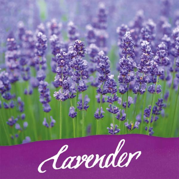 Online Tintenglas 15ml Tinte der Sinne lavender